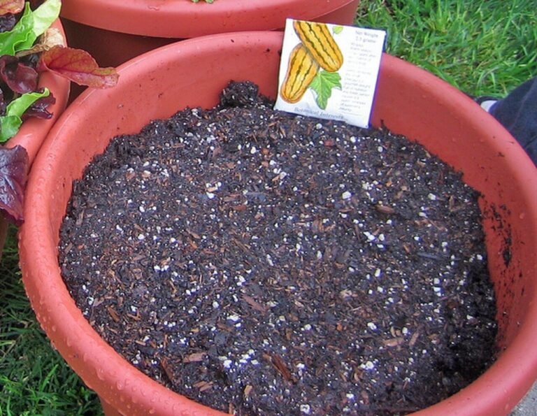 Dark crumbly organic potting soil mix with visible aeration aggregates for indoor plants
