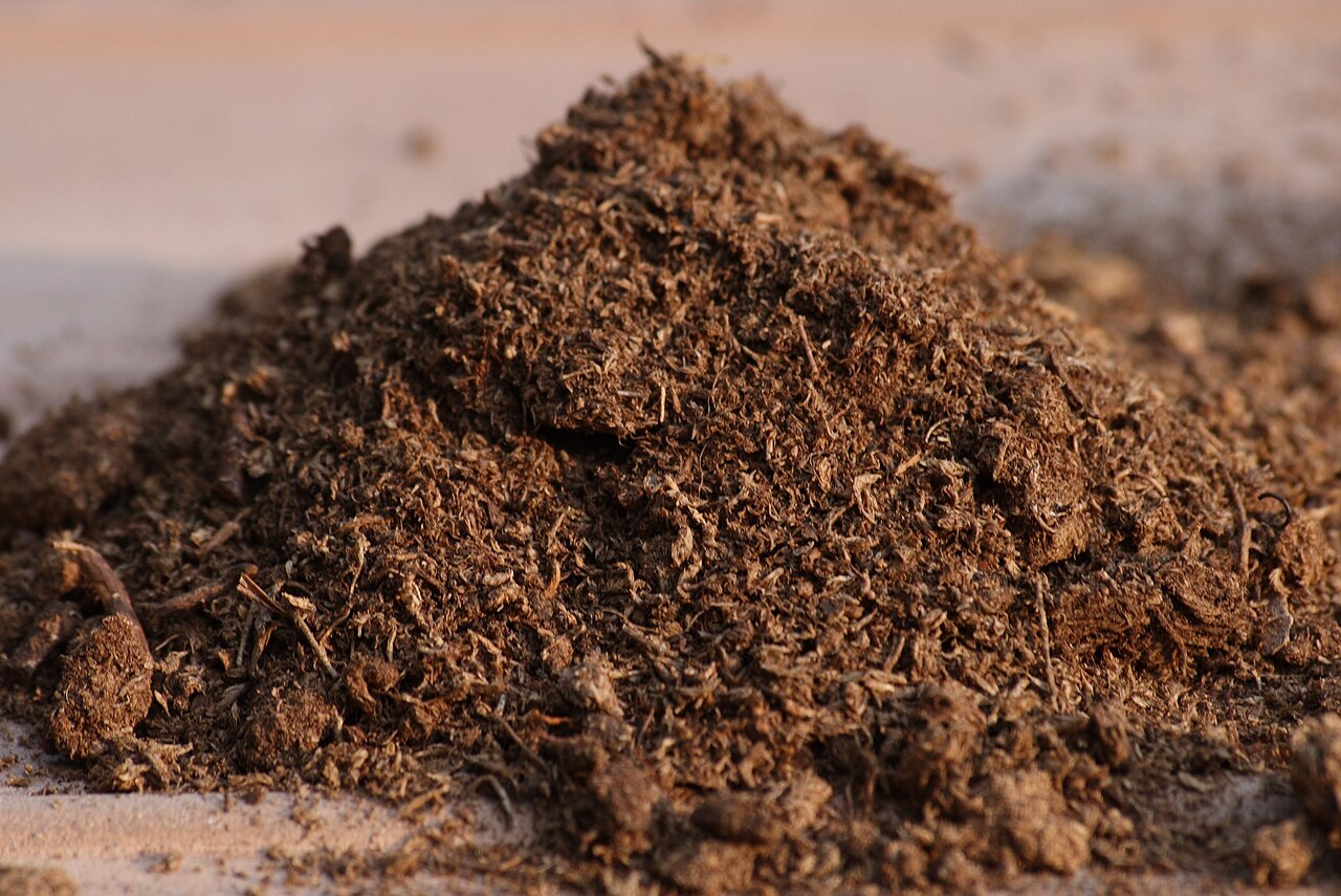 Best Houseplant Soil: 7 Proven Secrets for Thriving Roots 11 Fibrous brown organic sphagnum peat moss used as water-retentive base for potting soil