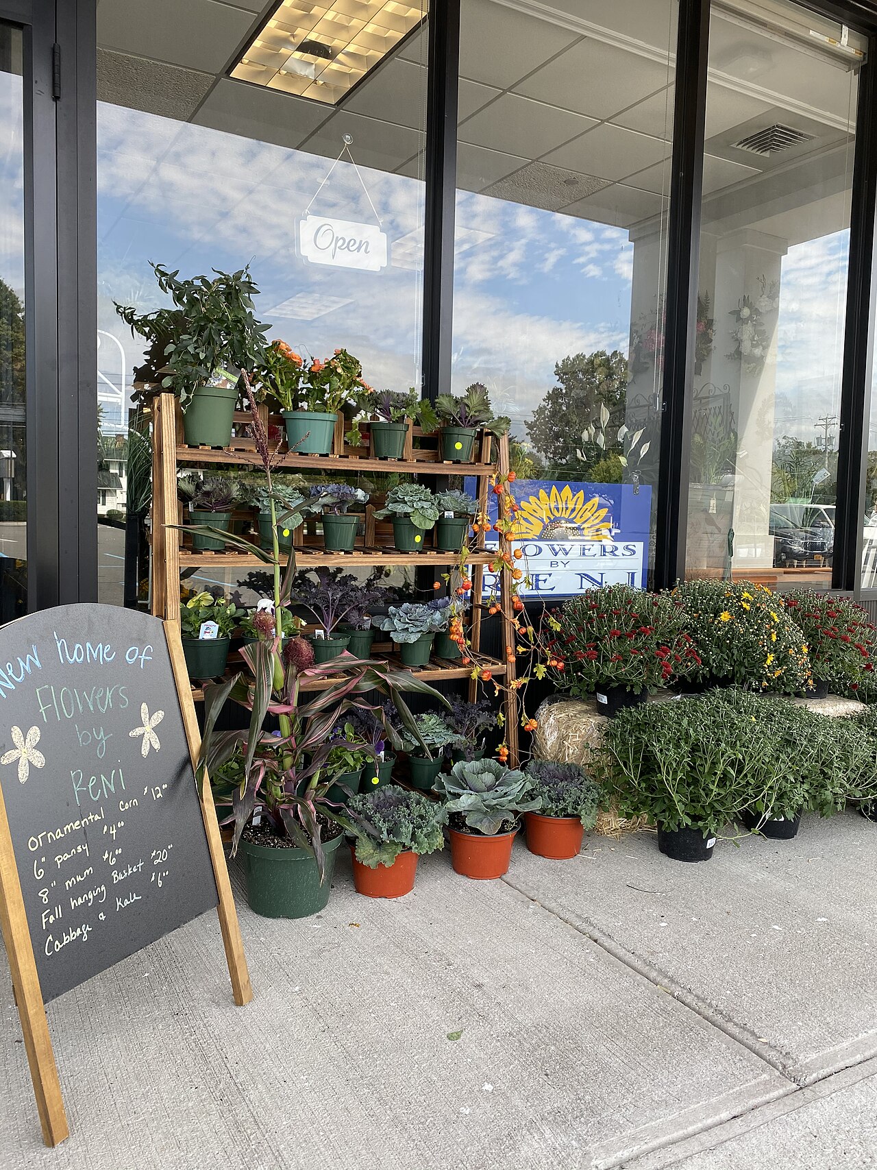Houseplant Store Near Me: 7 Proven Ways to Find Joyful Gems 2 Boutique plant shop interior displaying healthy potted houseplants on wooden display shelves