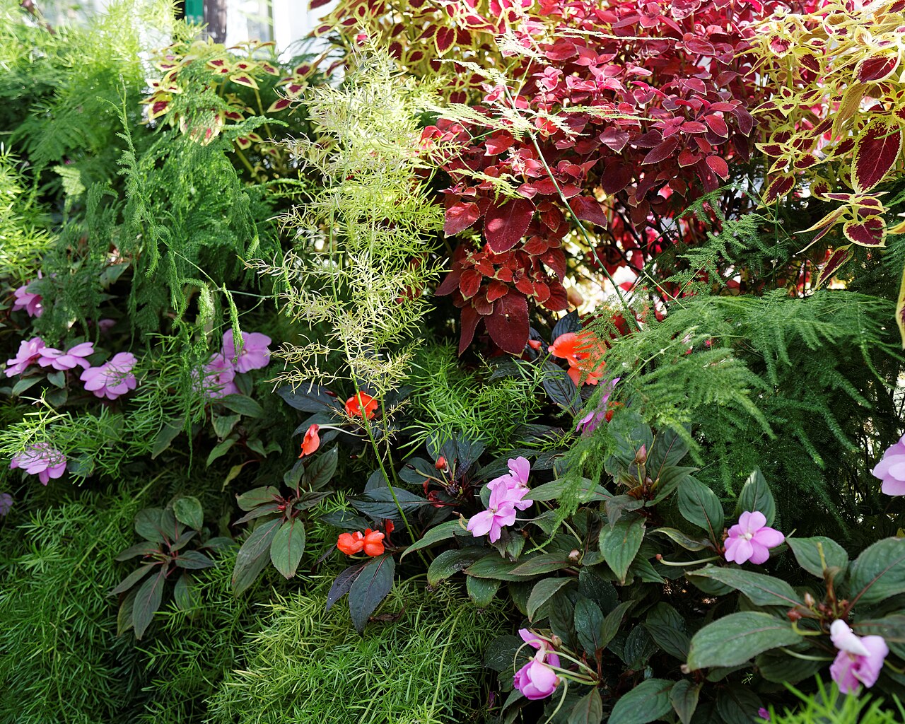 Houseplant Store Near Me: 7 Proven Ways to Find Joyful Gems 3 Conservatory garden center featuring diverse potted tropical specimens under natural skylights