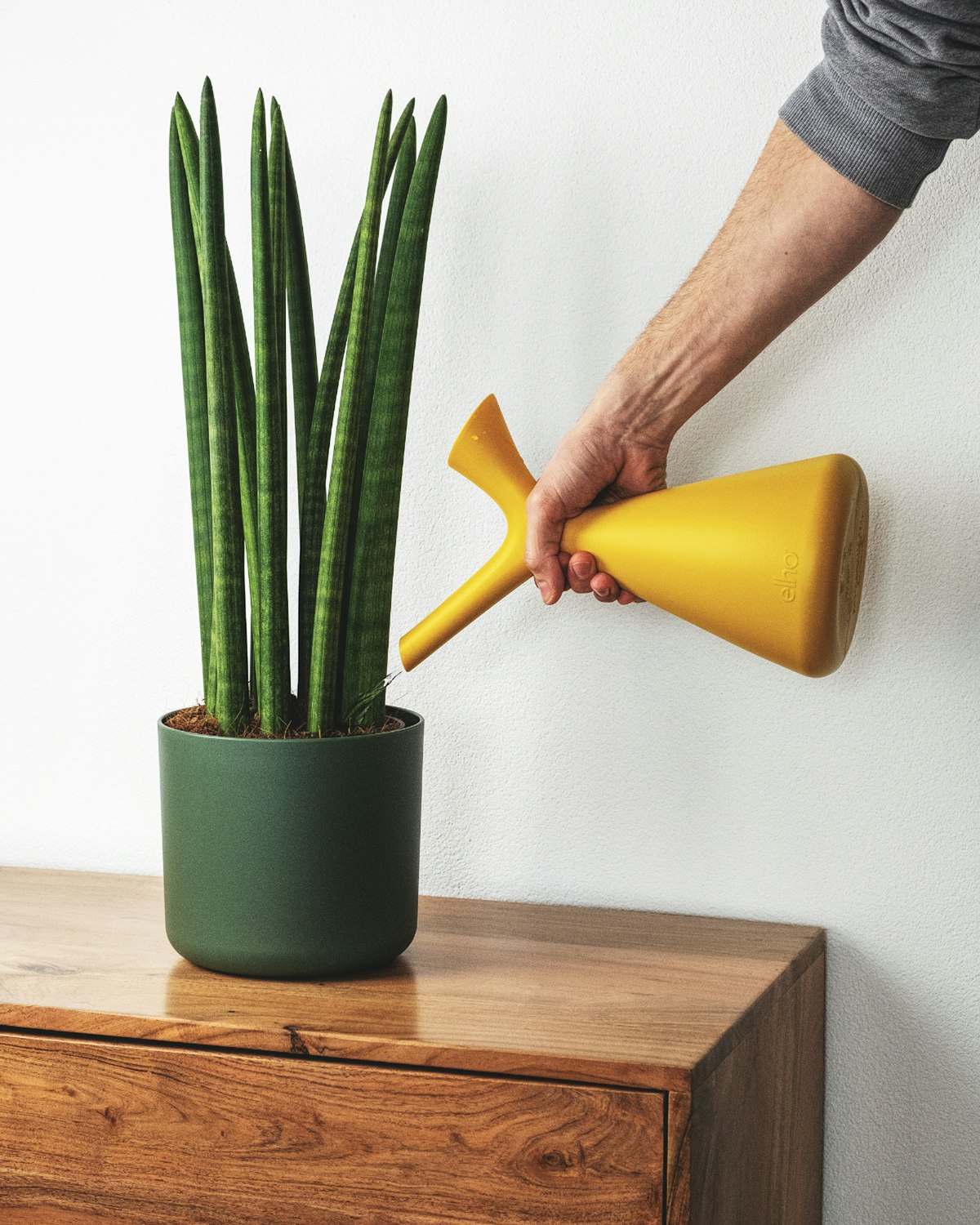 Best Houseplant Soil: 7 Proven Secrets for Thriving Roots 10 Hand squeezing damp potting mix to test if best houseplant soil crumbles easily without compacting into mud